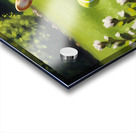 Sleepy Super Corgi Rests After Hero Adventures Acrylic print