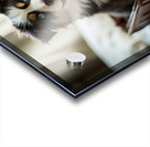 Content Puppy Settles Down For Suitcase Journey Acrylic print