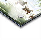 Boston Terrier Puppy Discovers A Peaceful Pond Acrylic print