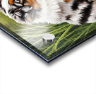 Puppy And Frog Become Peaceful Pond Friends Acrylic print