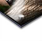 Detective Puppy Solves Case And Finds New Garden Friend Acrylic print