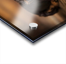 Happy Yorkshire Terrier Puppy With Nature Treasures Acrylic print