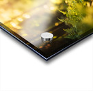 Australian Shepherd Puppy Begins Flower Delivery Mission Acrylic print