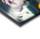 Yorkshire Terrier Puppy Discovers Amazing Aquarium World Acrylic print