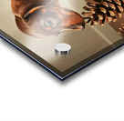 Happy Dachshund Puppy Relaxing With Natural Treasures Acrylic print