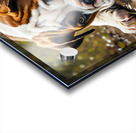 Protective Bulldog Puppy Shields Snail From Heavy Rain Acrylic print