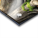 Poodle Puppy Ready For Garden Adventure Acrylic print