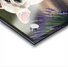 Happy French Bulldog Puppy Understands His Reflection Acrylic print