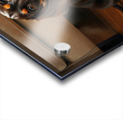 Dachshund Puppy Caught On The Forbidden Sofa Acrylic print