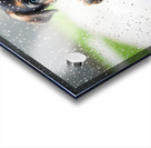 German Shepherd Puppy Discovers Raindrops On Glass Door Acrylic print