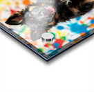 German Shepherd Puppy Gets Clean After Art Adventure Acrylic print