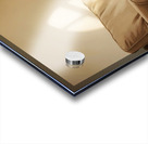 Sleepy Labrador Puppy Naps During Television Show Acrylic print