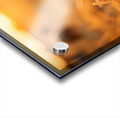 Playful Bichon Frise Puppy Slides Down Haystack Acrylic print