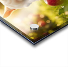 French Bulldog Puppy Discovers Apple Orchard Acrylic print