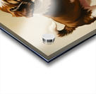 Shih Tzu Puppy Spots Tempting Sock In Laundry Basket Acrylic print