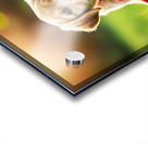 Tired Puppy Rests After Leash Adventure Acrylic print