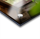 Brave Corgi Puppy Watches Storm Clear Acrylic print