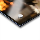 Border Collie Puppy Discovers The Warm Fireplace Acrylic print