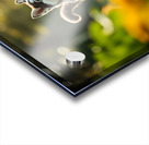 Husky Puppy Spots A Beautiful Butterfly In Garden Acrylic print