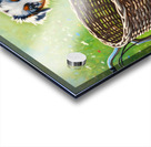 Australian Shepherd Puppy Discovers Bicycle Basket Adventure Acrylic print