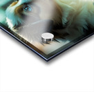 Australian Shepherd Puppy Discovers Amazing Fish Tank Acrylic print