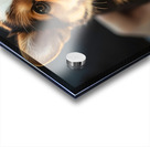 Corgi Puppys First Vet Visit Acrylic print