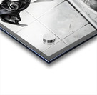 Happy Boston Terrier Puppy Enjoys Sudsy Bath Time Acrylic print