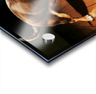 Chihuahua Puppy Discovers Dancing Wall Shadows Acrylic print