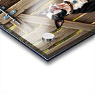 Boston Terrier Puppy Delivers Flowers To Loving Hands Acrylic print