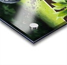 Border Collie Puppy Discovers Garden Bed Acrylic print