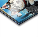 Husky Puppy Dreams Of Sky Adventures Acrylic print