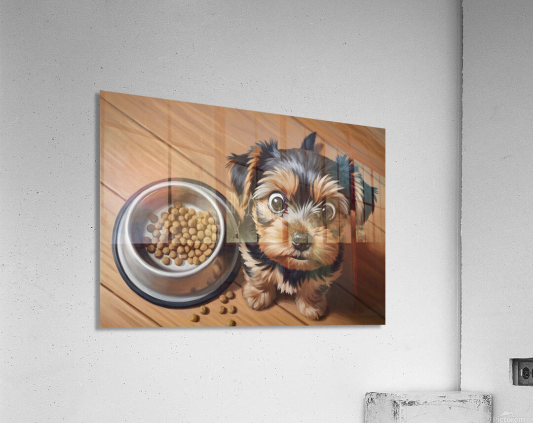Apologetic Brown Yorkshire Terrier Puppy With Messy Bowl Acrylic Print