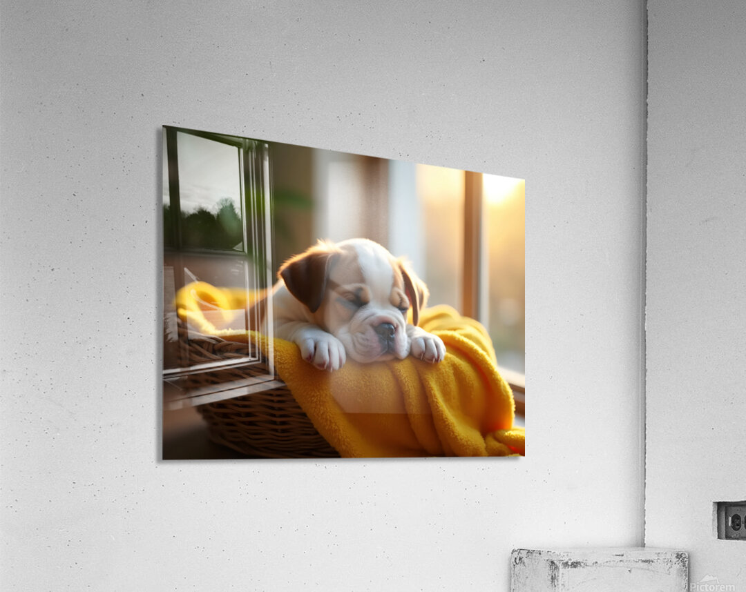 Bulldog Puppy Sleeps Peacefully In Wicker Basket Acrylic Print