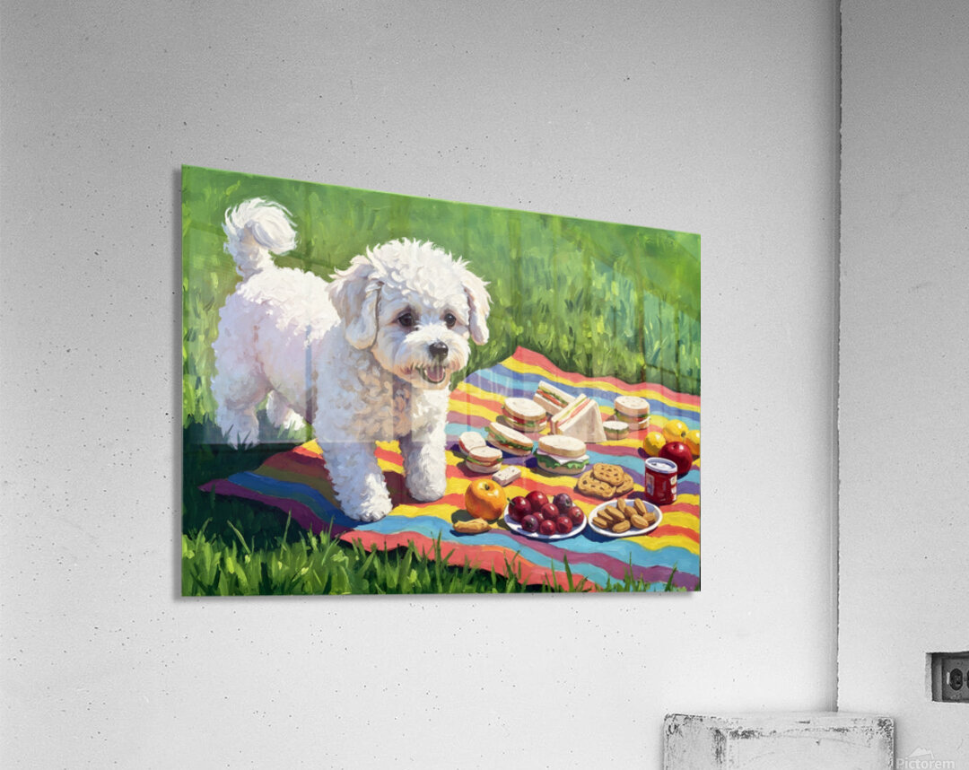 Bichon Frise Puppy Discovers Picnic Spread Acrylic Print