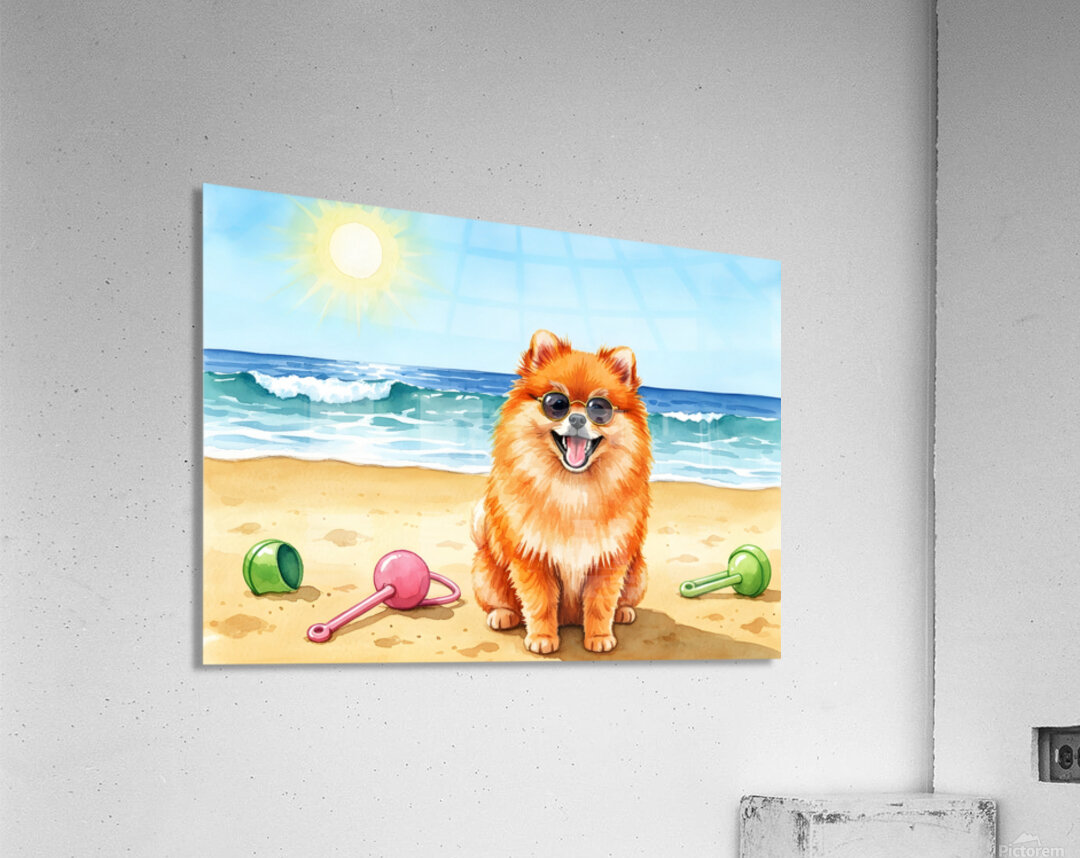 Pomeranian Puppys Beach Adventure Begins Acrylic Print