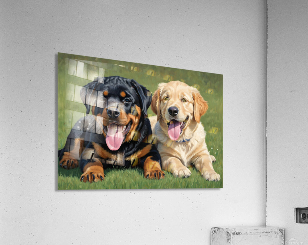 Exhausted Rottweiler Puppy Rests After Fun Playtime Acrylic Print