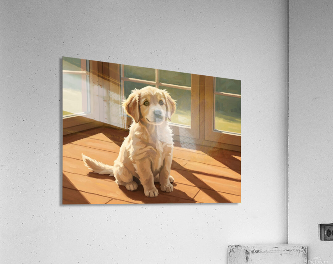 Golden Retriever Puppy Sits Alert And Ready For Adventure Acrylic Print