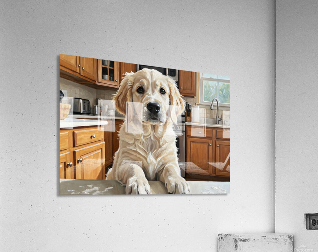 Golden Retriever Puppys Kitchen Discovery Acrylic Print