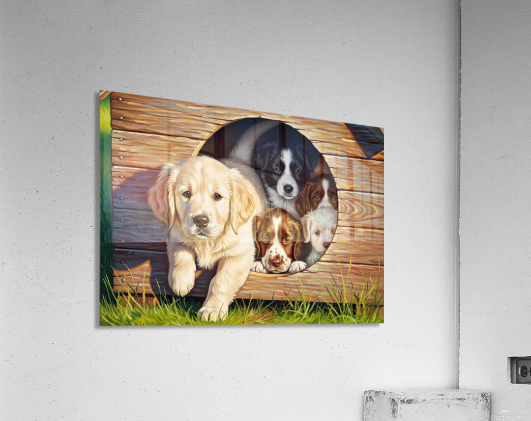 Golden Retriever Puppy Enters Crowded Doghouse Acrylic Print