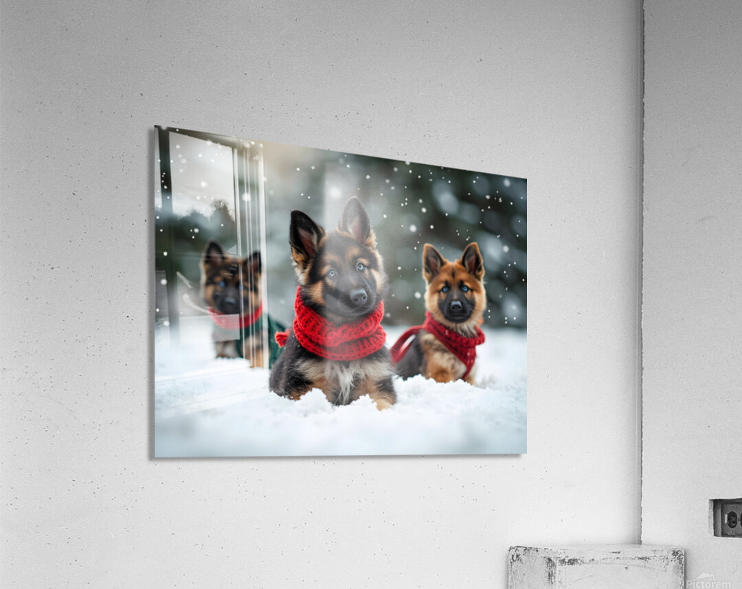 German Shepherd Puppys First Snow Day Adventure Acrylic Print