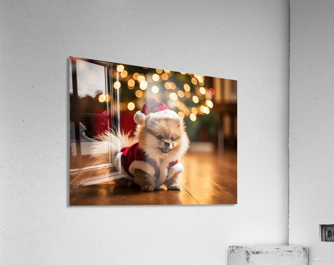 Pomeranian Puppy In Festive Christmas Outfit Acrylic Print