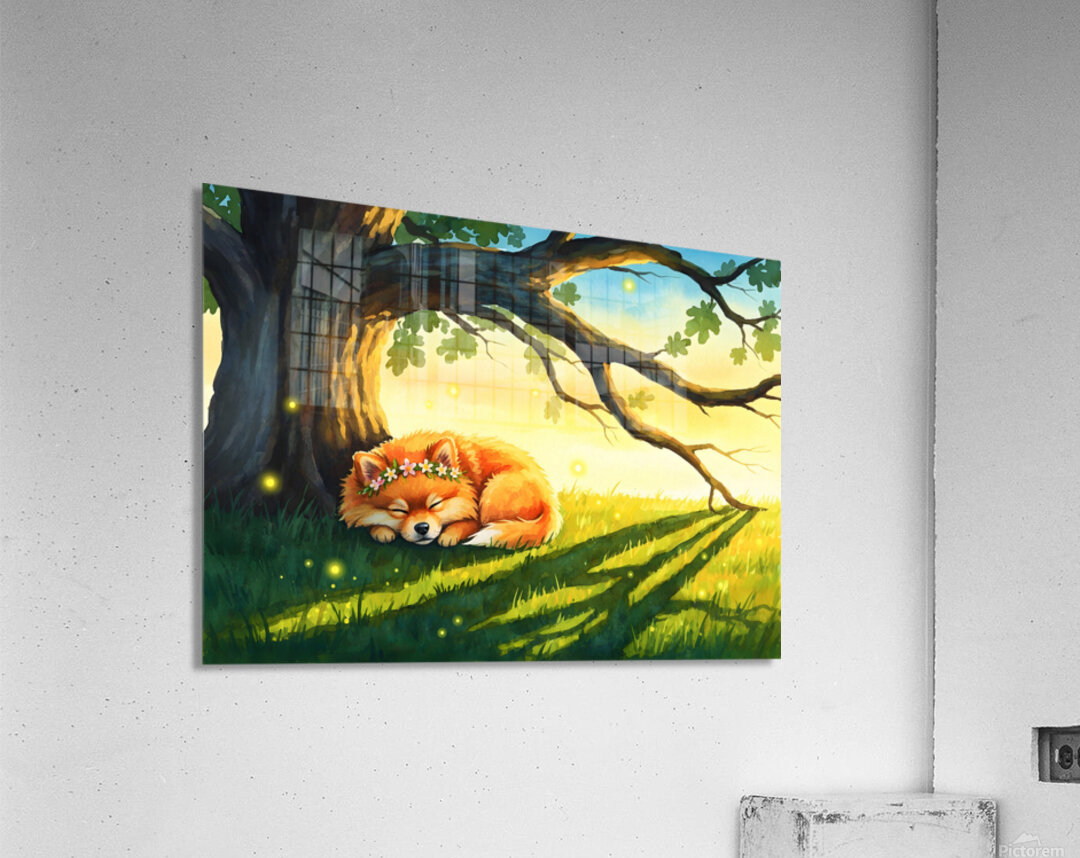 Pomeranian Puppy Sleeps Under Oak Tree At Sunset Acrylic Print