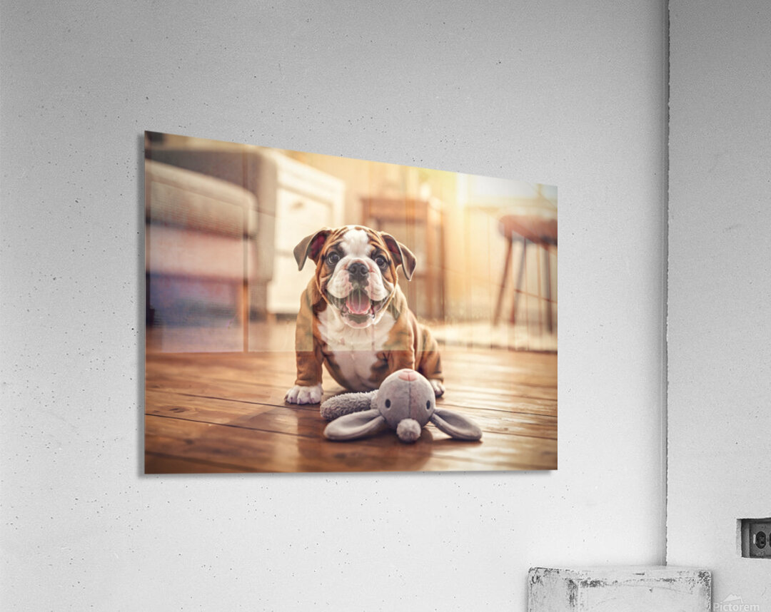 Bulldog Puppy Discovers New Plush Rabbit Friend Acrylic Print