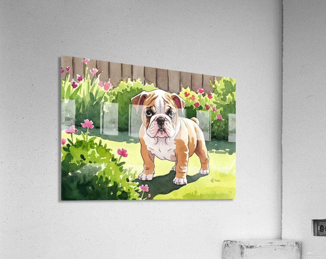 Bulldog Puppy Explores The Garden Alone Acrylic Print