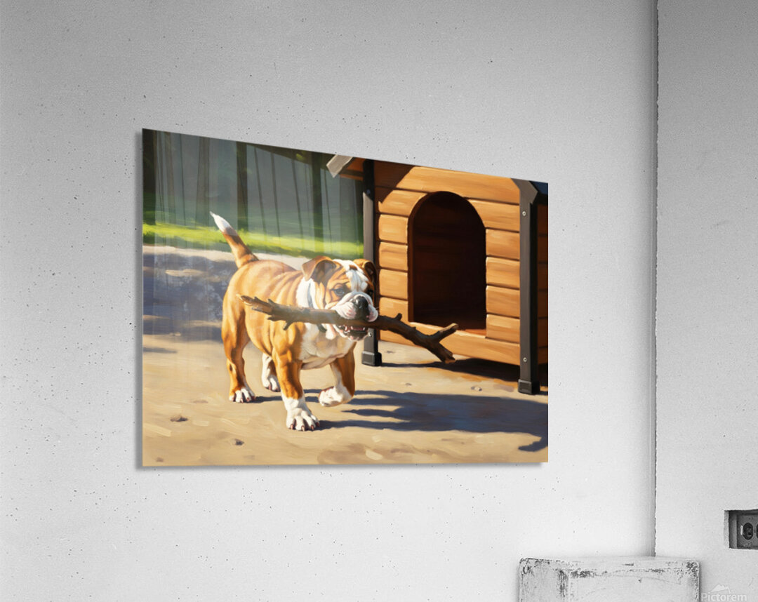 Happy Bulldog Puppy Successfully Brings Stick To Dog House Acrylic Print