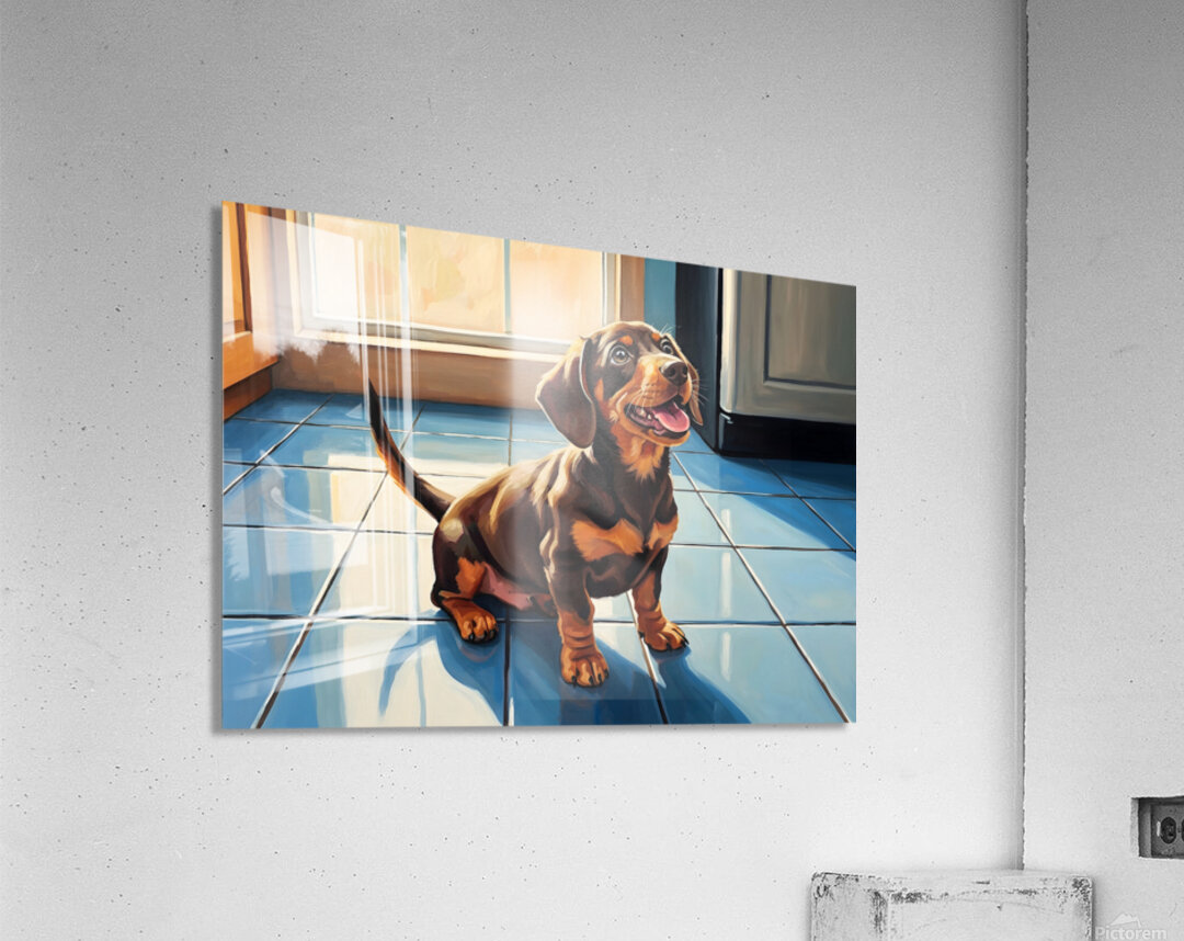 Dachshund Puppy Waiting For Special Treat Acrylic Print