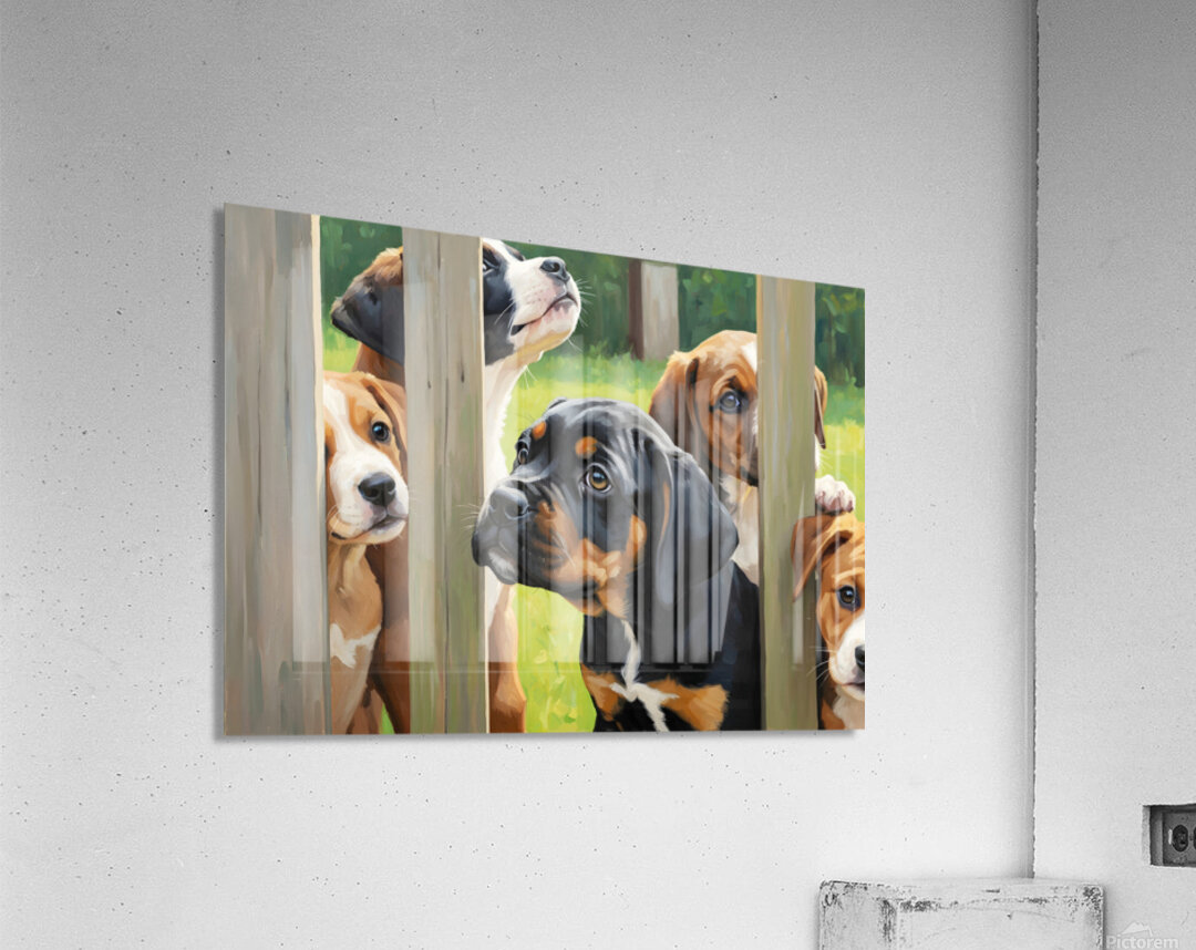 Cane Corso Puppy Discovers World Beyond The Fence Acrylic Print