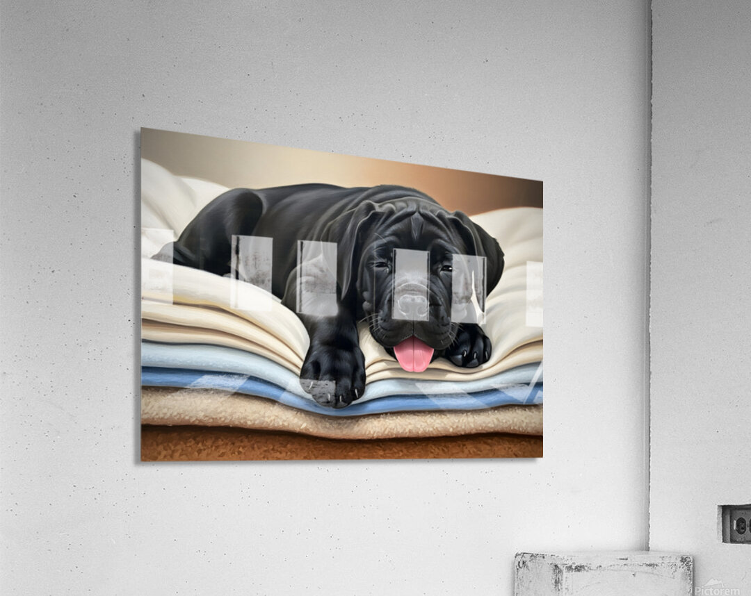 Tired Cane Corso Puppy Resting On Blankets Acrylic Print