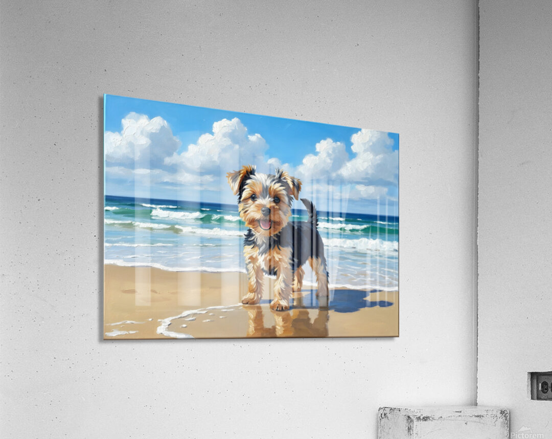 Yorkshire Terrier Puppy Discovers The Beach Acrylic Print