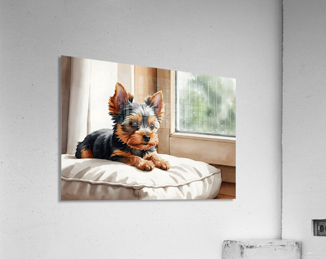 Contented Puppy Relaxes By Rainy Window Acrylic Print